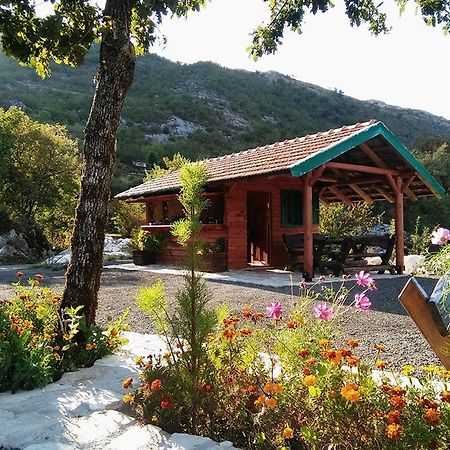 Camp Oaza,Lipa Hotel Cetinje Exterior photo